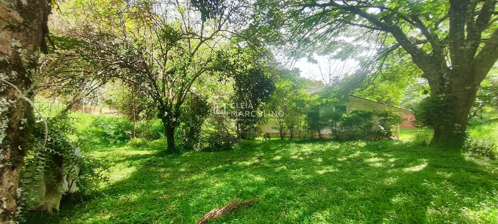 Chácara, 3 quartos, 2954 m² - Foto 12