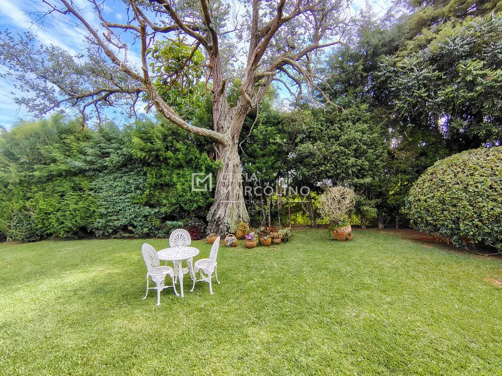 Chácara, 3 quartos, 4200 m² - Foto 5