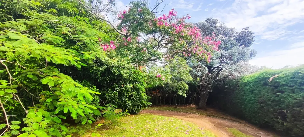 Chácara, 3 quartos, 4200 m² - Foto 16