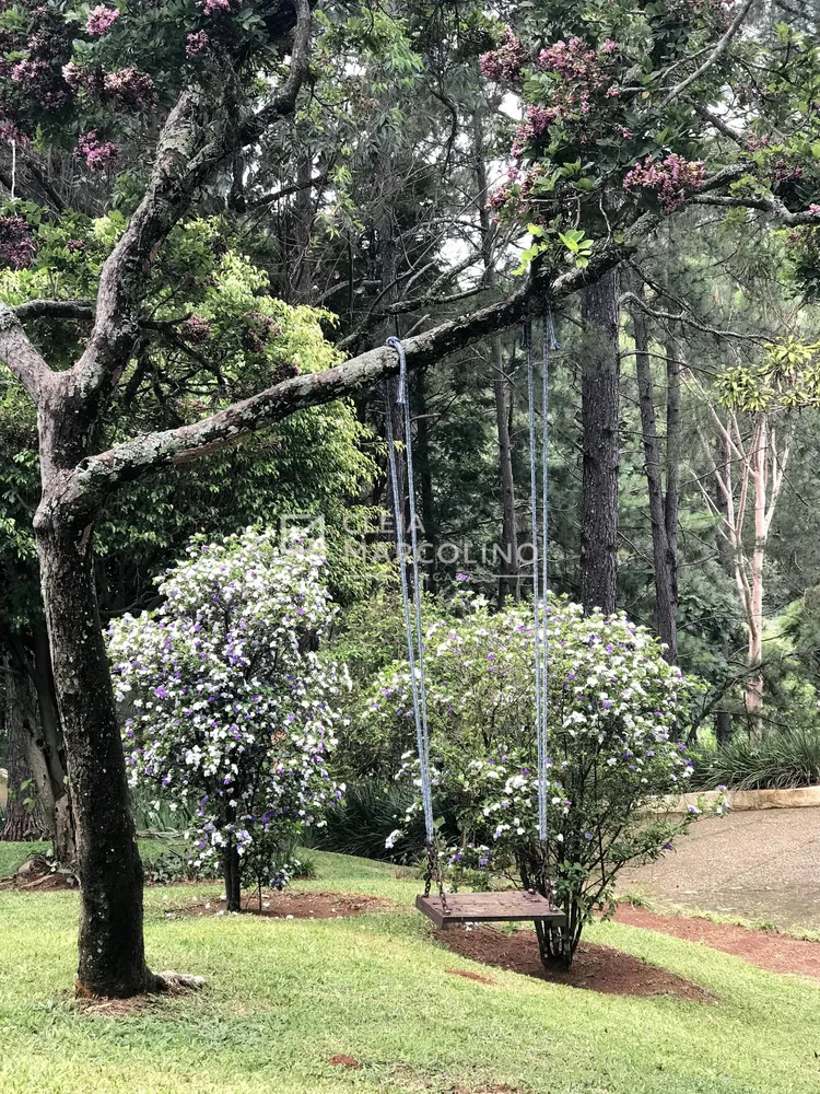 Chácara, 4 quartos, 1 hectares - Foto 17