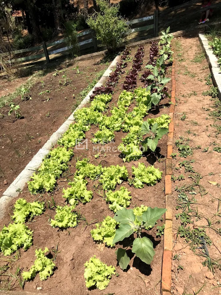Chácara, 4 quartos, 1 hectares - Foto 19