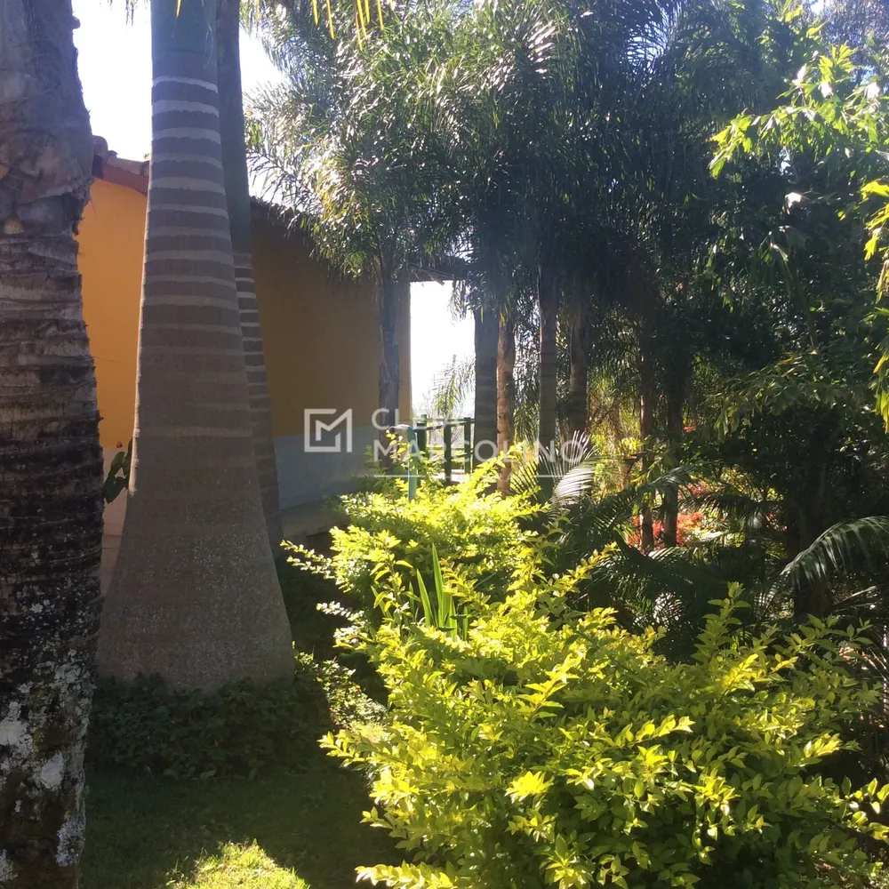 Fazenda, 7 hectares - Foto 7