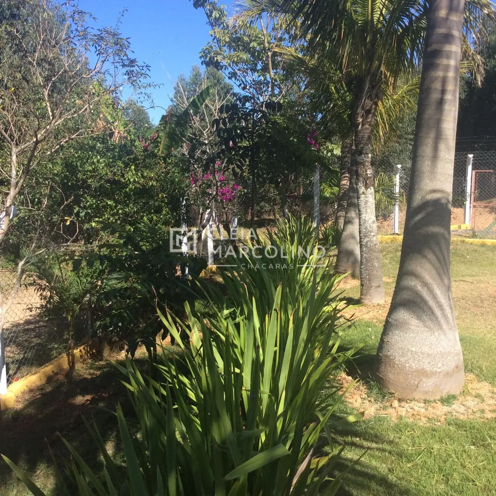Fazenda, 7 hectares - Foto 12