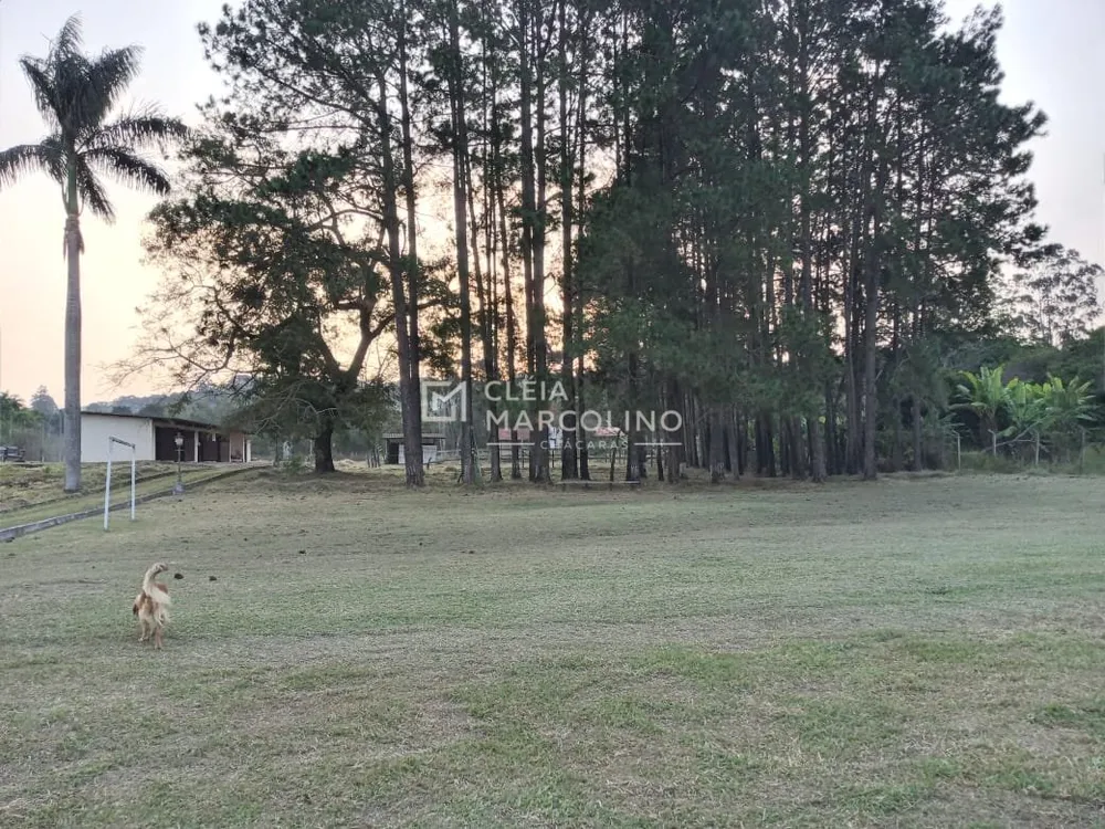 Chácara, 4 quartos, 2 hectares - Foto 8