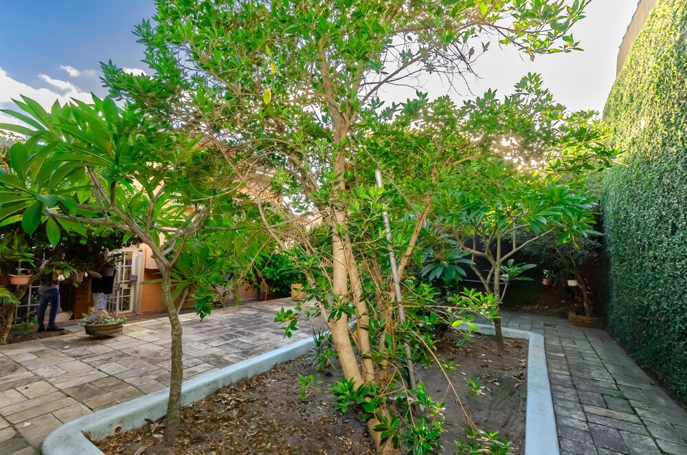 Casa, 4 quartos, 332 m² - Foto 2