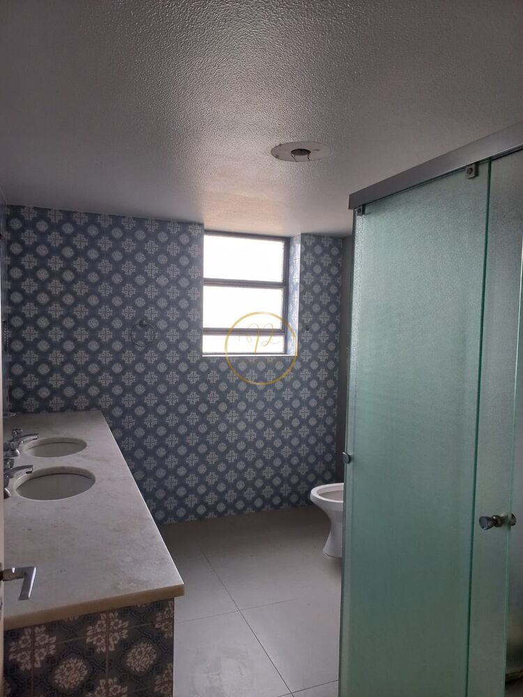 Apartamento, 3 quartos, 245 m² - Foto 10