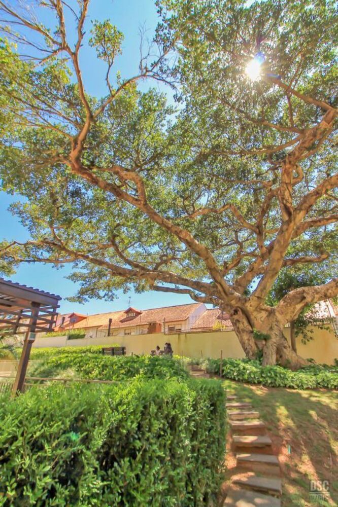 Apartamento à venda com 3 quartos, 126m² - Foto 6