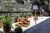 Casa, 4 quartos, 435 m² - Foto 4