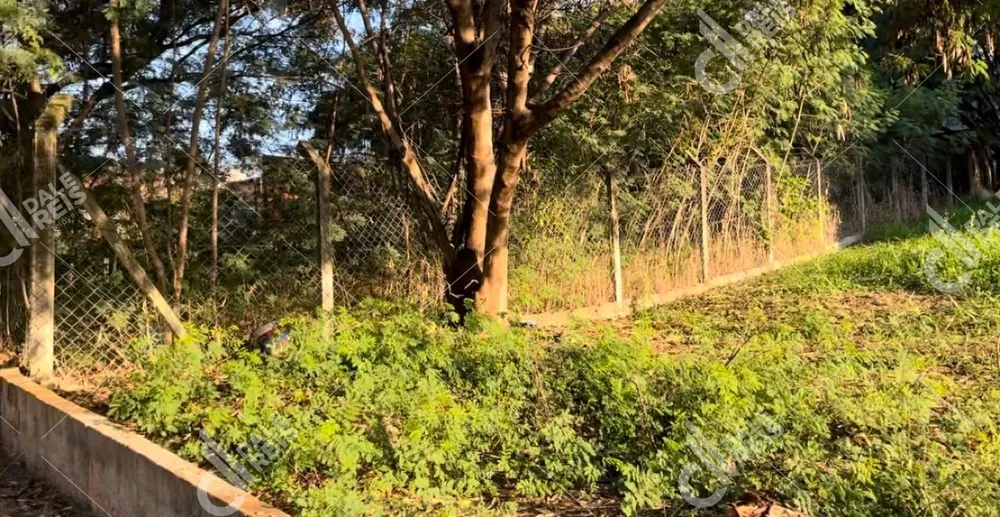 Loteamento e Condomínio, 548 m² - Foto 6