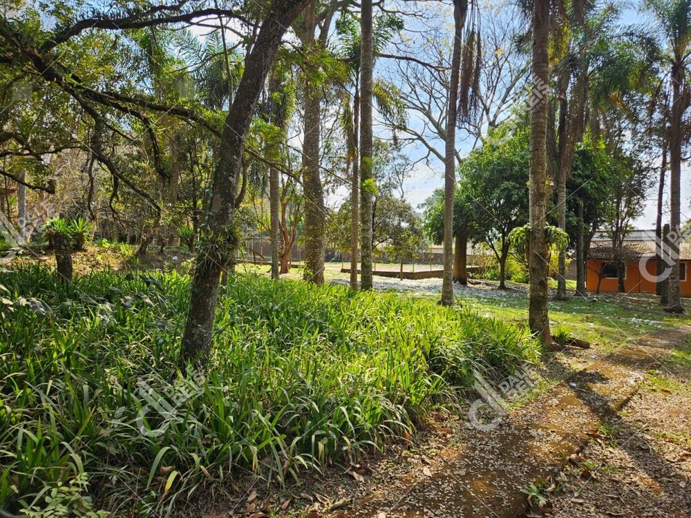 Chácara, 10 quartos, 450 m² - Foto 2