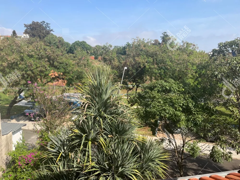 Casa, 4 quartos, 250 m² - Foto 4