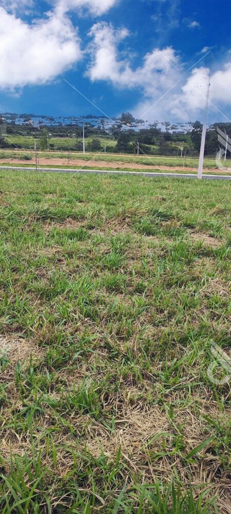 Terreno, 300 m² - Foto 6
