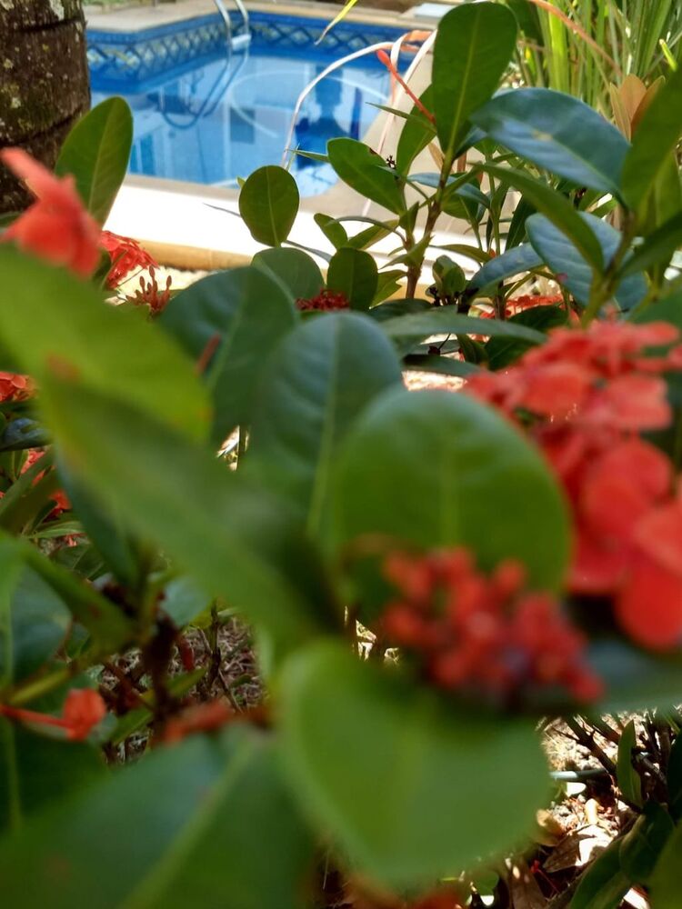 Casa de Condomínio, 4 quartos - Foto 35