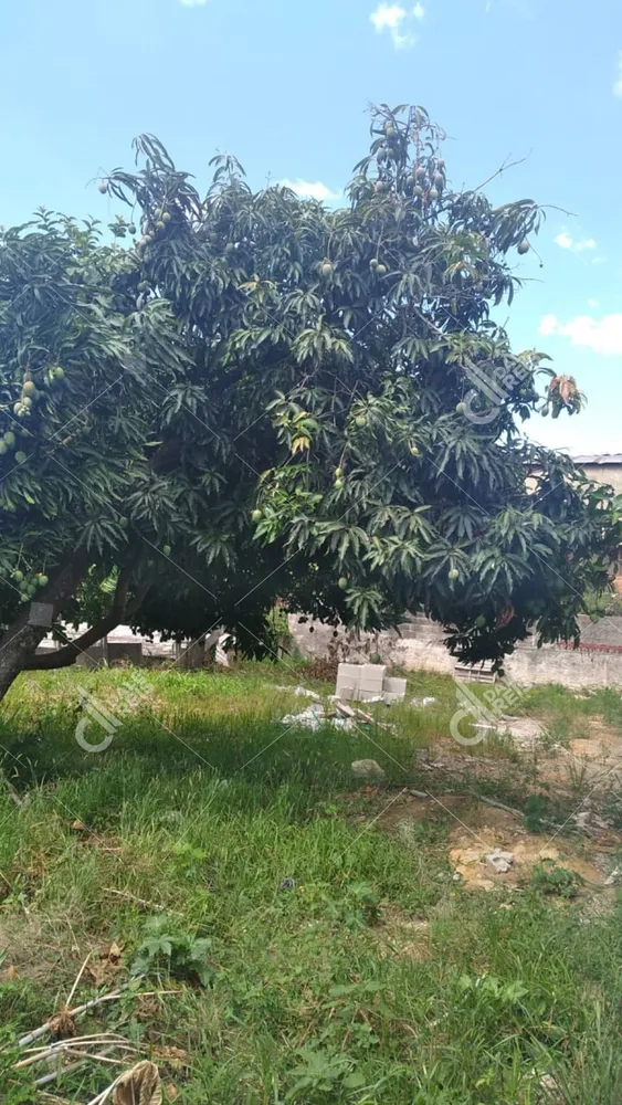 Terreno, 250 m² - Foto 10