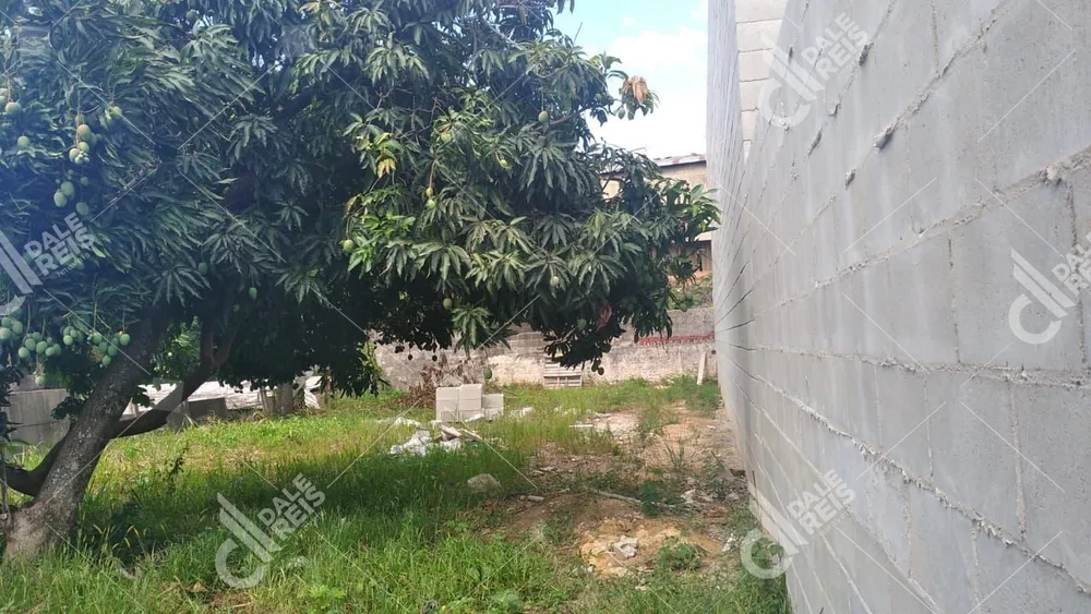 Terreno, 250 m² - Foto 5