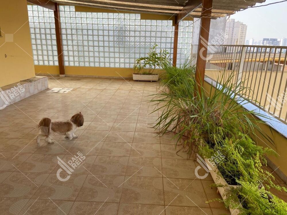 Casa, 5 quartos, 550 m² - Foto 40