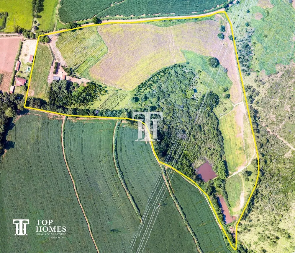 Fazenda, 14 hectares - Foto 3