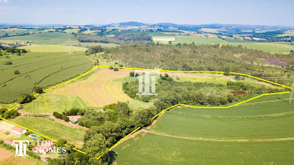 Fazenda, 14 hectares - Foto 4