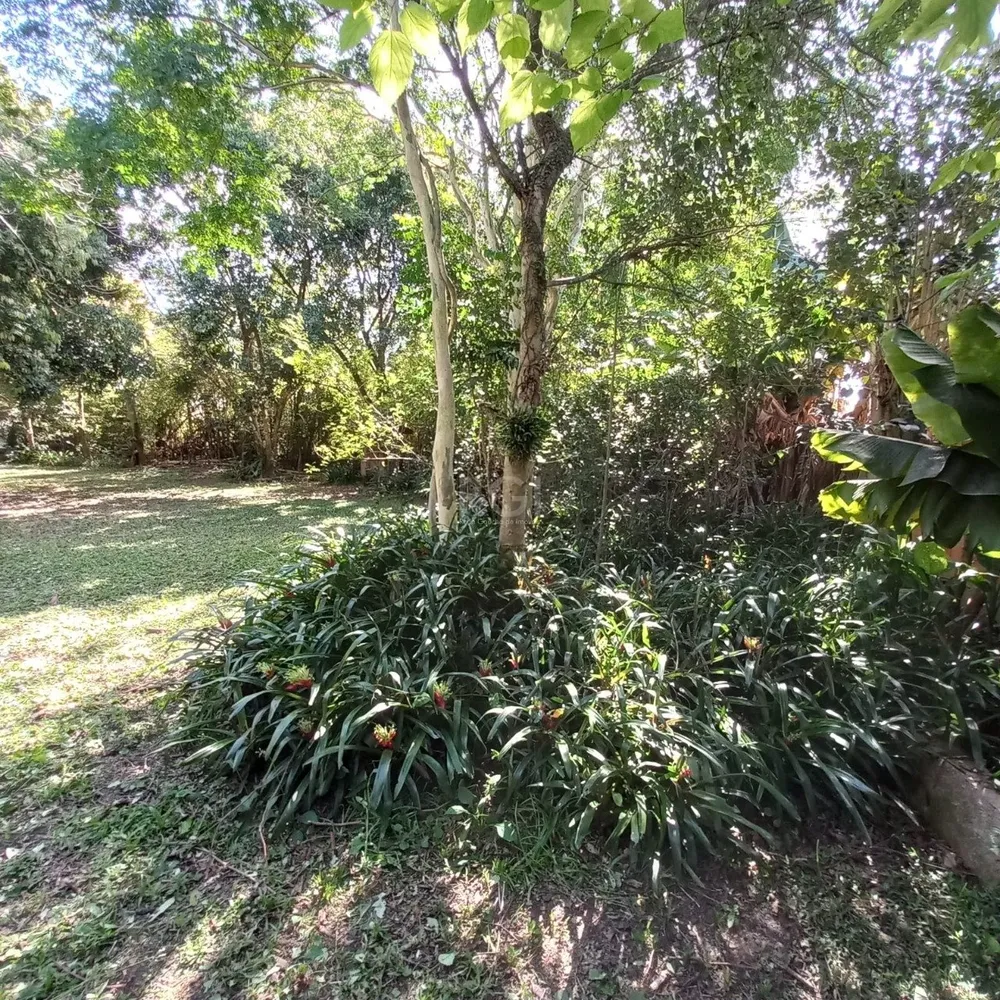 Terreno, 520 m² - Foto 4