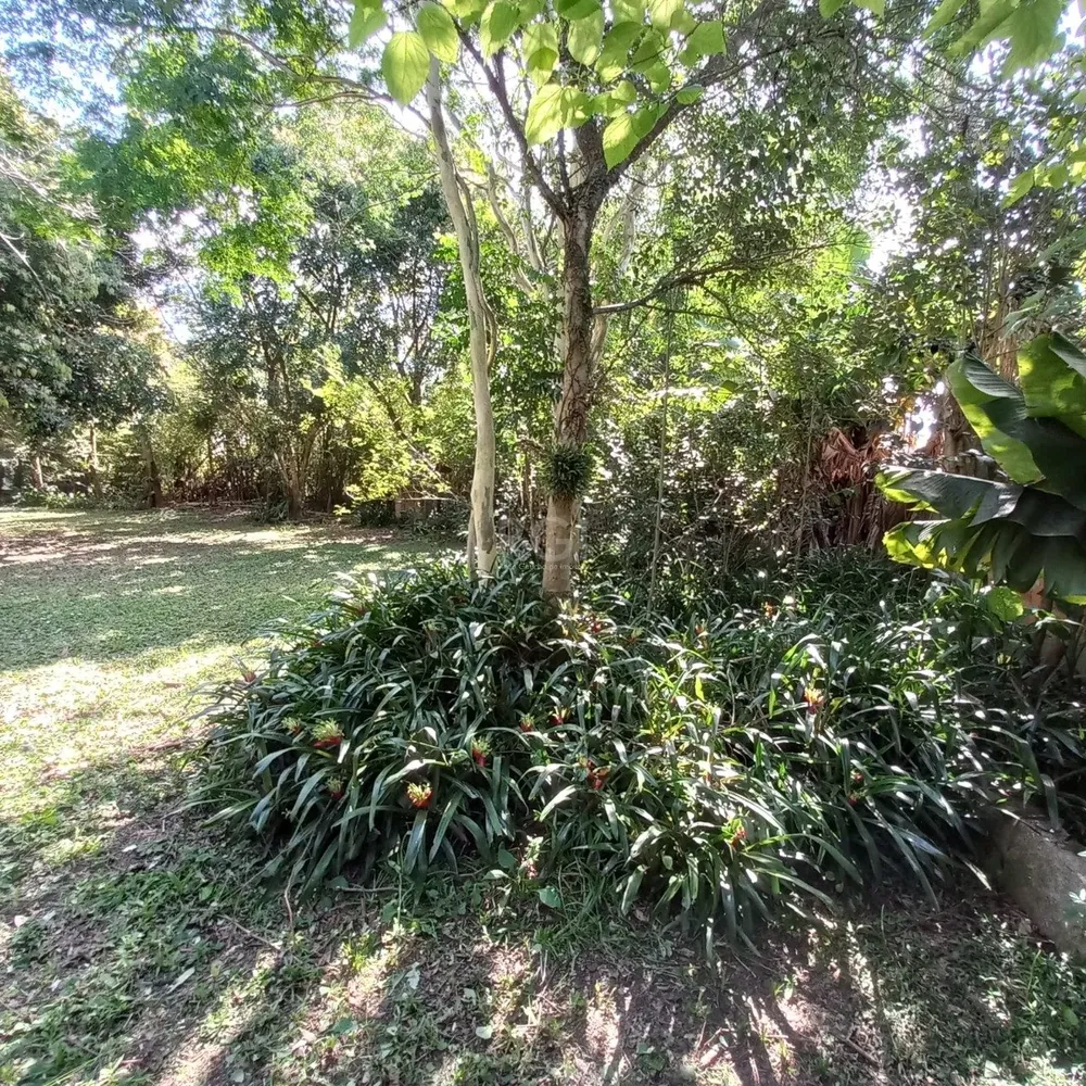 Terreno, 520 m² - Foto 3