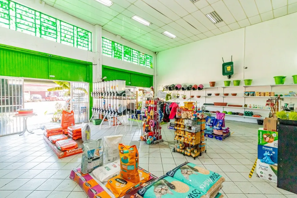 Loja-Salão, 350 m² - Foto 3