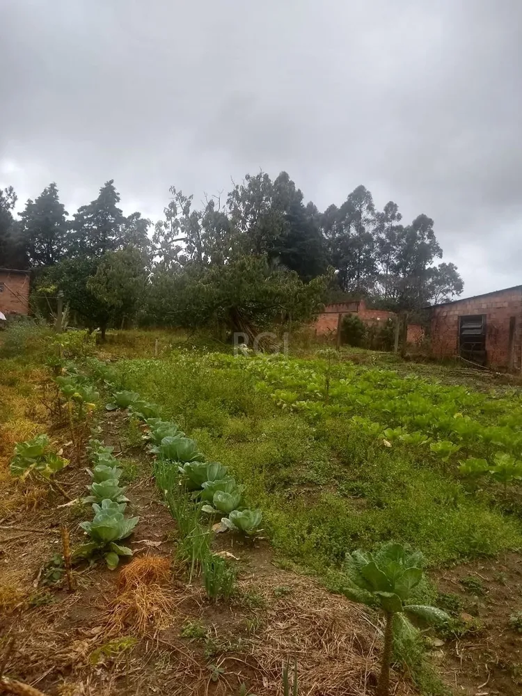 Terreno, 480 m² - Foto 3