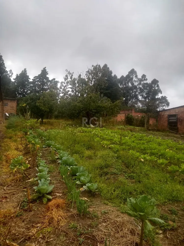 Terreno, 480 m² - Foto 2