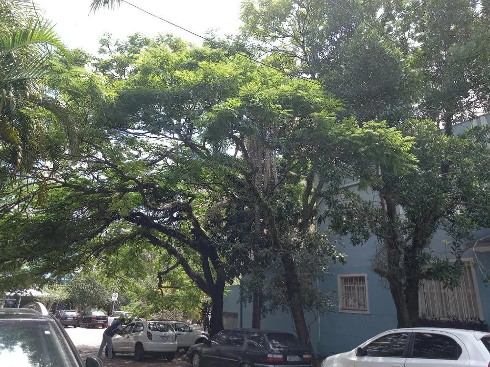 Apartamento, 3 quartos, 180 m² - Foto 2