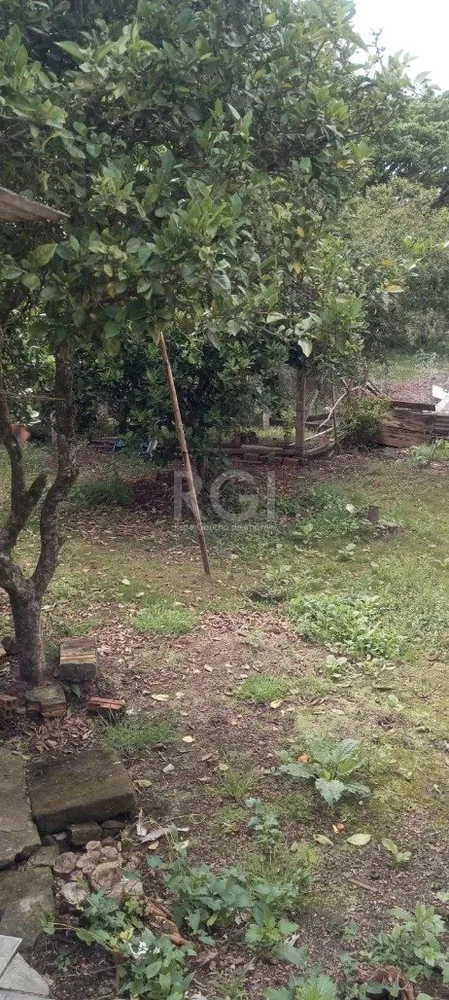 Casa, 3 quartos, 80 m² - Foto 3