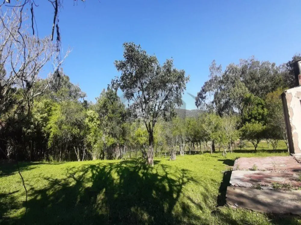 Terreno, 6200 m² - Foto 4