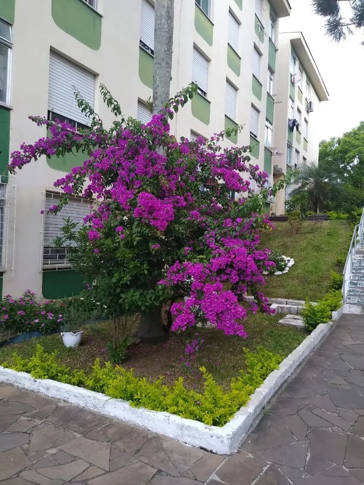 Apartamento, 3 quartos, 59 m² - Foto 1