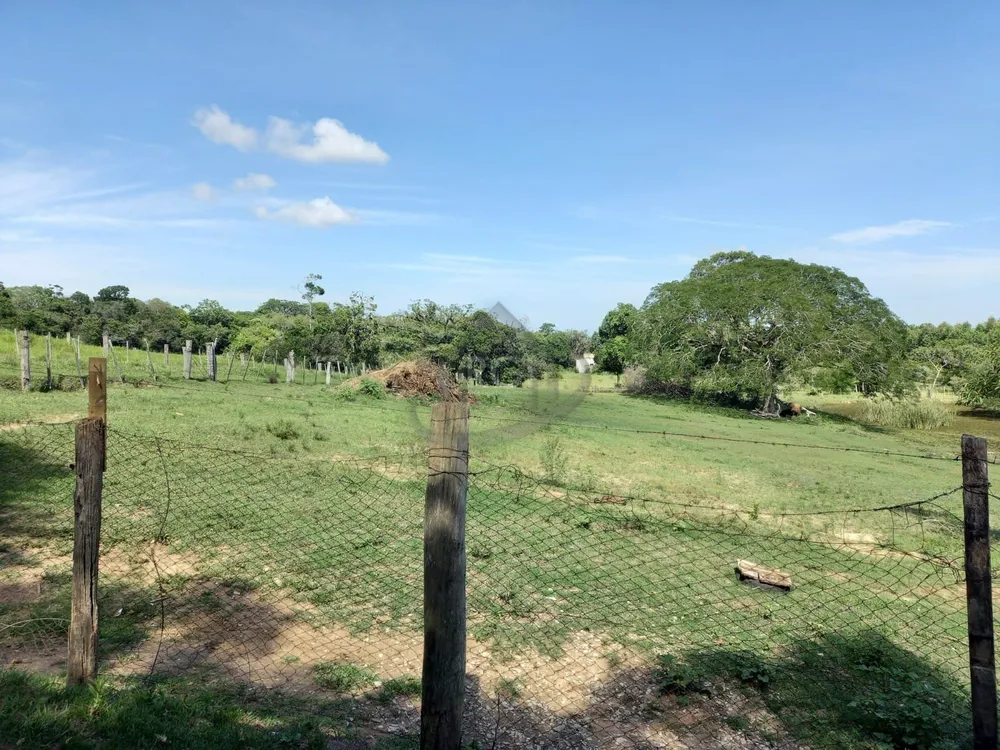 Sítio, 3 quartos, 2 hectares - Foto 4