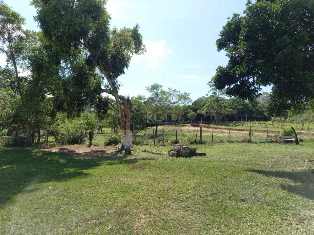 Sítio, 3 quartos, 2 hectares - Foto 3