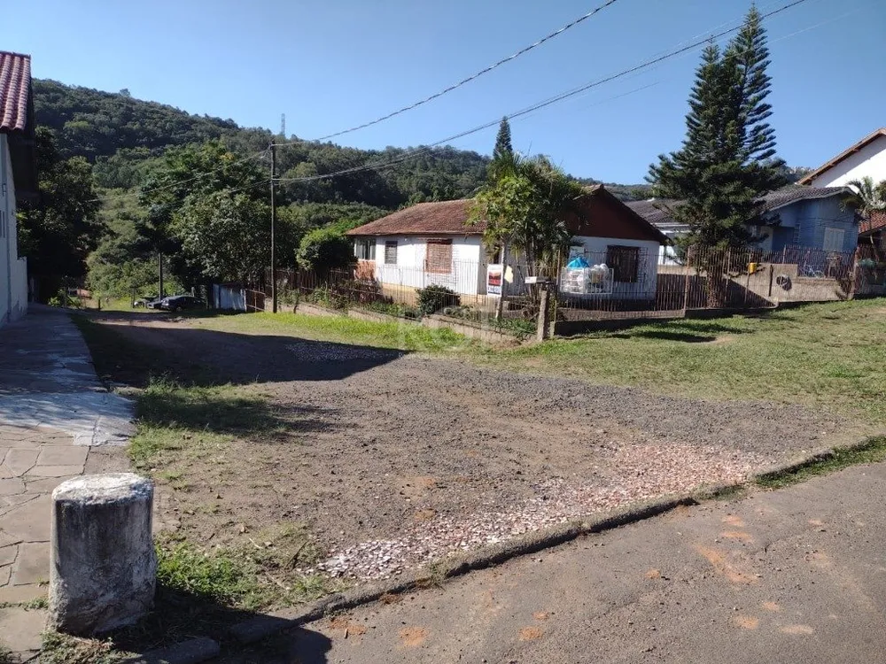 Terreno, 4 hectares - Foto 1