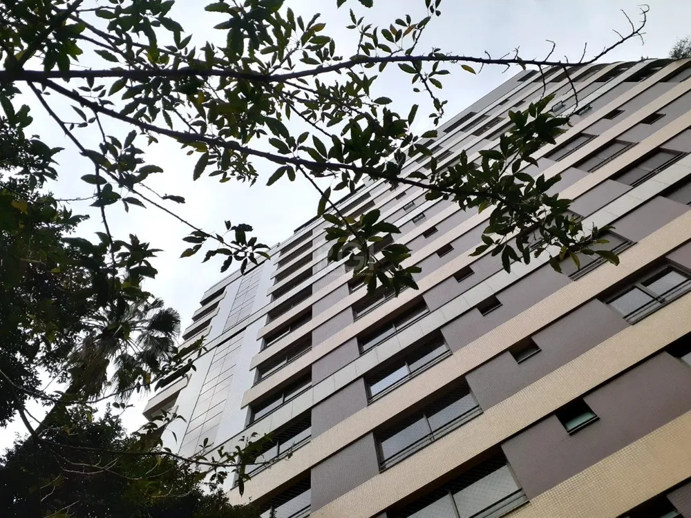 Apartamento, 3 quartos, 275 m² - Foto 2