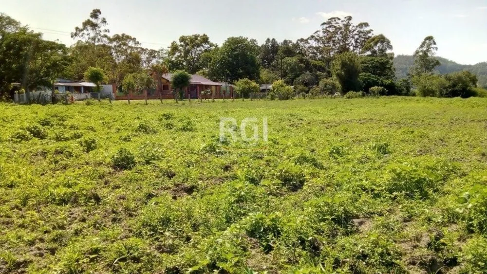 Terreno, 2 hectares - Foto 1