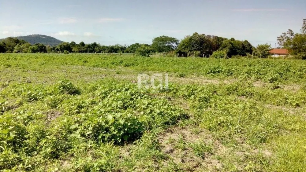 Terreno, 2 hectares - Foto 2