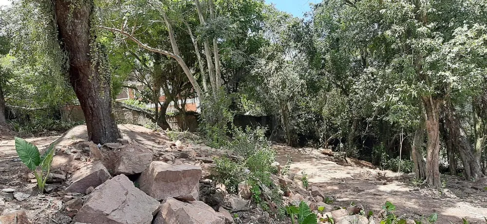Terreno, 419 m² - Foto 2
