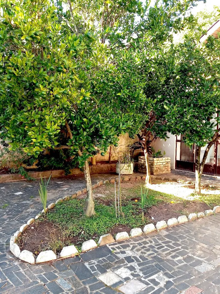 Casa, 4 quartos, 170 m² - Foto 1