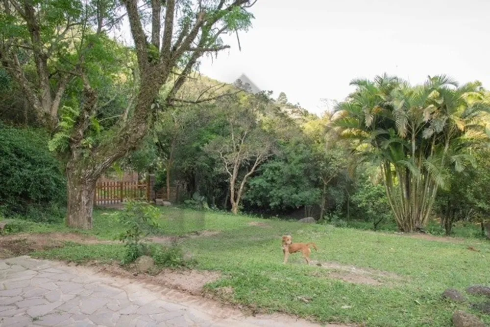 Chácara, 1 quarto, 200 m² - Foto 3