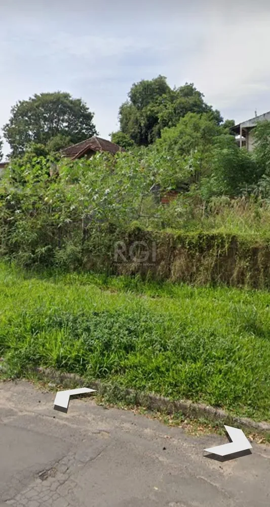 Terreno, 300 m² - Foto 3