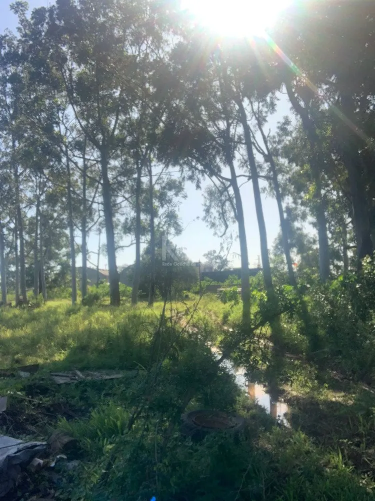 Terreno, 1 hectares - Foto 4