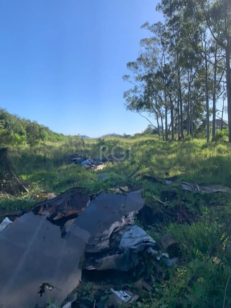 Terreno, 1 hectares - Foto 3