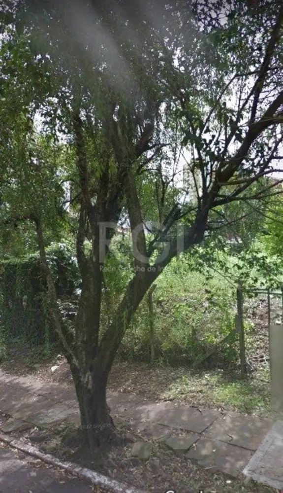 Terreno, 300 m² - Foto 1