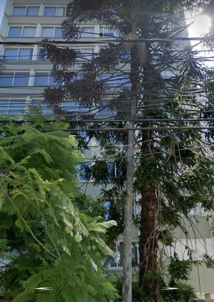Apartamento, 3 quartos, 245 m² - Foto 2