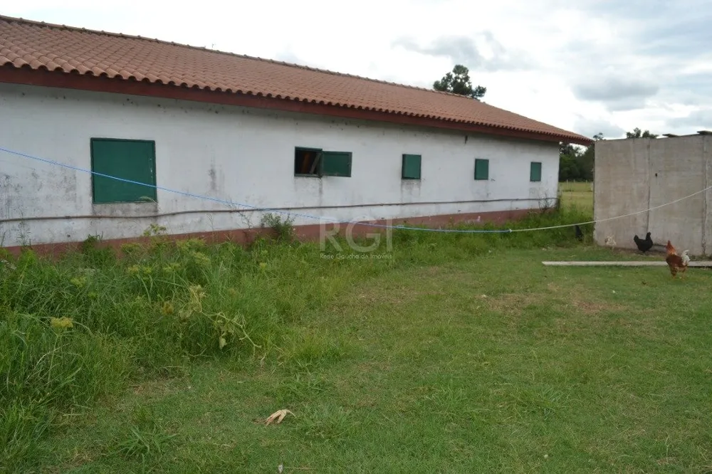 Terreno, 6 hectares - Foto 3
