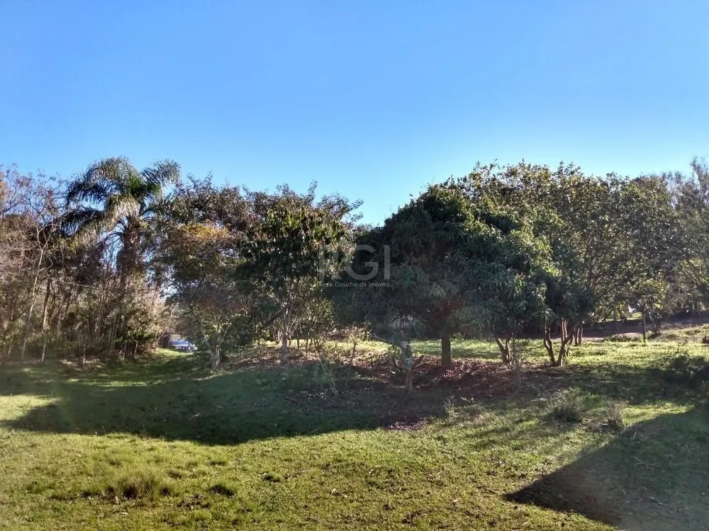 Terreno, 4 hectares - Foto 2