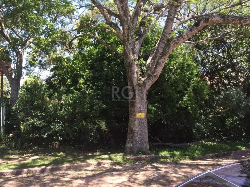 Terreno, 451 m² - Foto 1