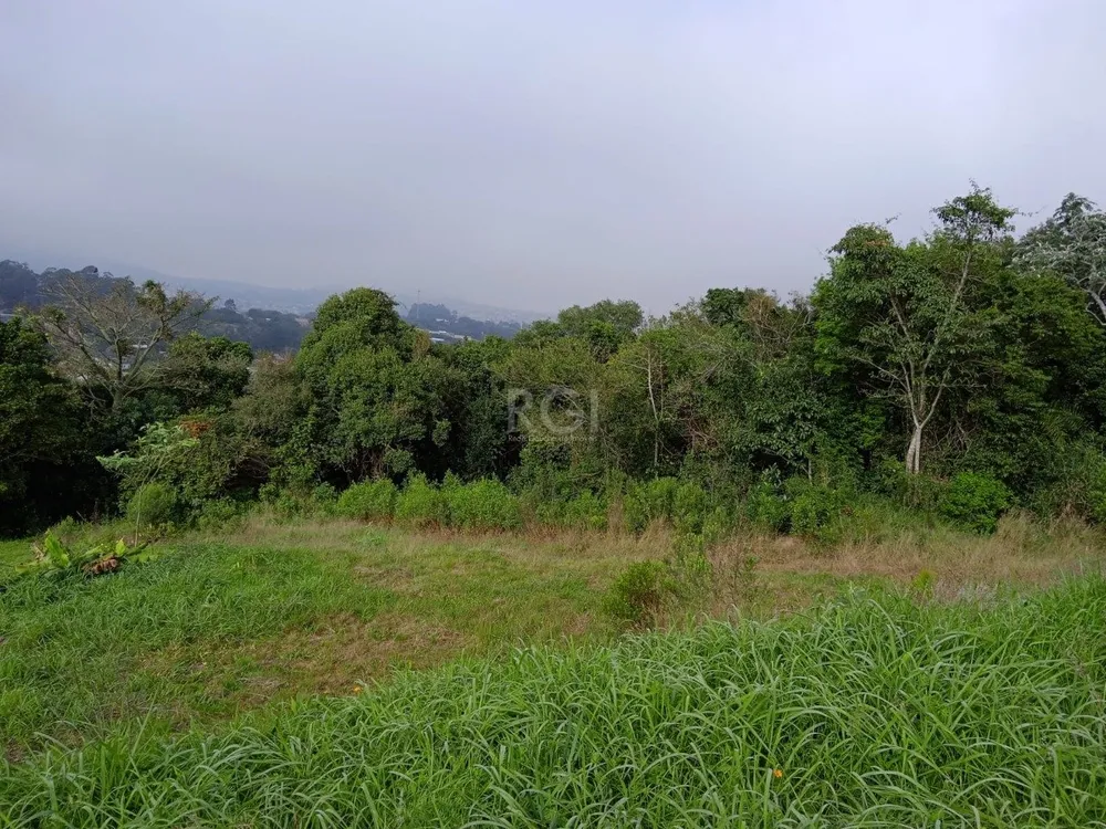 Terreno, 4950 m² - Foto 4