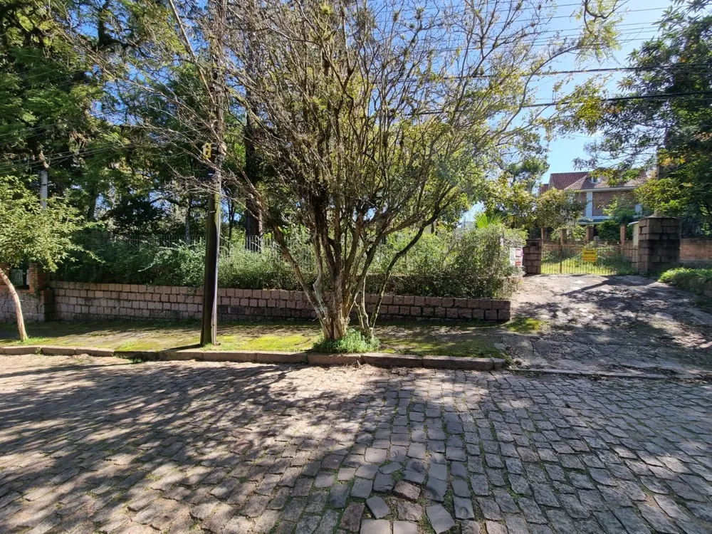 Terreno, 4452 m² - Foto 2